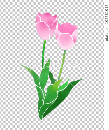 pink tulips in watercolor style pink tulips in watercolor style 102881018
