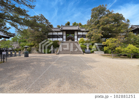 聖徳太子御廟所 叡福寺 聖徳太子御廟の遠景(大阪府南河内郡太子町) 聖徳太子御廟所 叡福寺 聖徳太子御廟の遠景(大阪府南河内郡太子町) 102881251