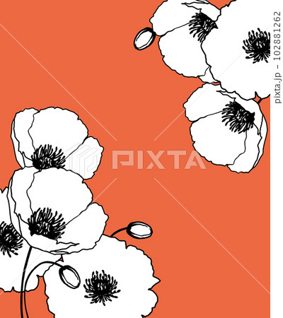 ポピーの花の手描き線画イラスト　オレンジ色背景 102881262