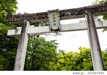 武田神社 武田神社 102882900