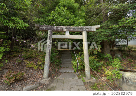 聖徳太子御廟所 叡福寺　科長岡神社（大阪府南河内郡太子町） 102882979
