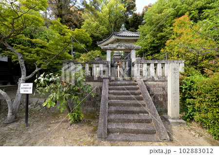 聖徳太子御廟所 叡福寺　経蔵（大阪府南河内郡太子町） 102883012