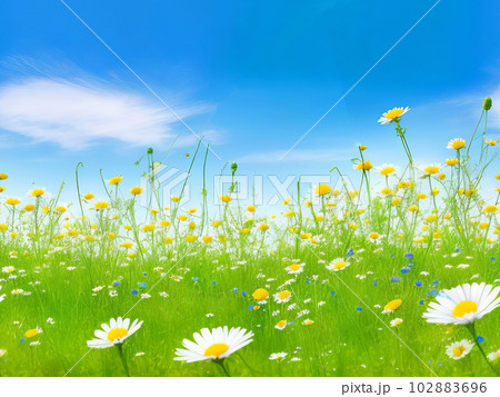 Beautiful Meadow Flowers: Chamomile and Blue Wild Peas. Generative AI. 102883696