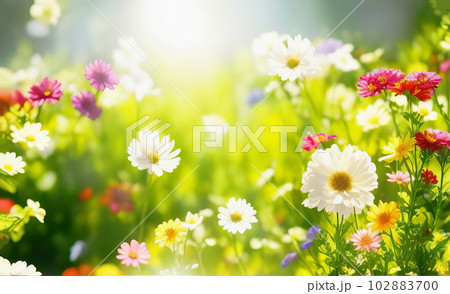Colorful Zinnia Flowers in a Sunny Garden. Generative AI. Colorful Zinnia Flowers in a Sunny Garden. Generative AI. 102883700