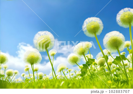 Enchanting Fantasy Abstract 3D Dandelions: Close-Up on Light Blue Background. Generative AI. 102883707