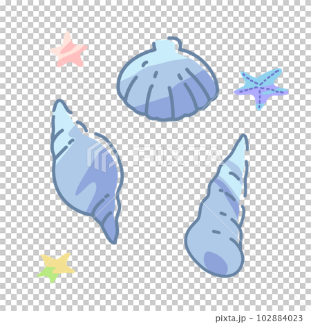 貝殻とヒトデ 102884023