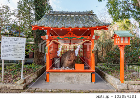 大汝牟遅神社（鹿児島県日置市） 102884381