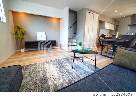 モダンなリビングダイニングがある新築住宅 102884603