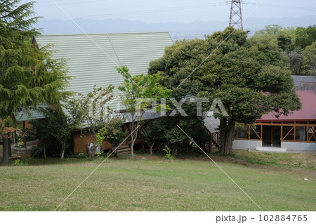 ふるさと森林公園の建物の景色 102884765