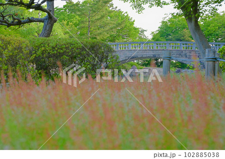 新潟県立鳥屋野潟公園 いやしの庭園 新潟県立鳥屋野潟公園 いやしの庭園 102885038