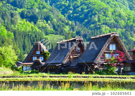 春　白川郷　荻町地区 102885601