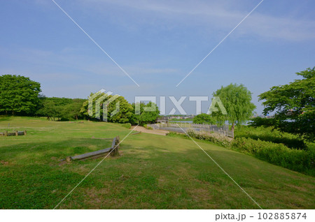 新潟県立鳥屋野潟公園 トリムの森と鳥屋野潟 102885874