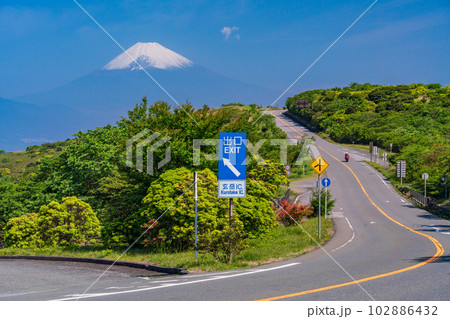 （静岡県）ツツジ咲く伊豆スカイラインから富士山を望む 102886432