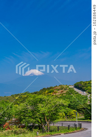 (静岡県)ツツジ咲く伊豆スカイラインから富士山を望む (静岡県)ツツジ咲く伊豆スカイラインから富士山を望む 102886449