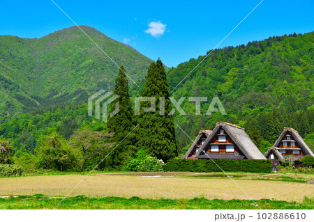 春 白川郷 荻町地区 春 白川郷 荻町地区 102886610