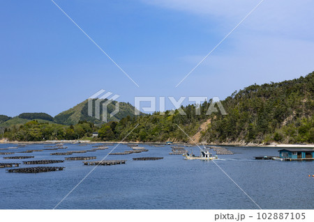 気仙沼大島の大島瀬戸カキ養殖と漁船 気仙沼大島の大島瀬戸カキ養殖と漁船 102887105