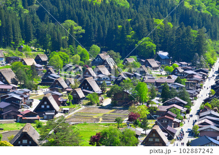 春　白川郷　荻町地区 102887242