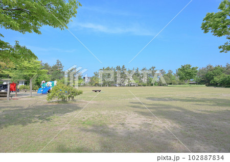 新潟県立鳥屋野潟公園 多目的広場 102887834