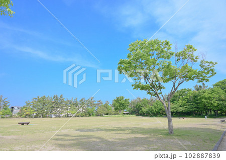 新潟県立鳥屋野潟公園 多目的広場 新潟県立鳥屋野潟公園 多目的広場 102887839