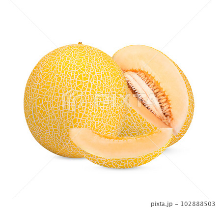 Cantaloupe isolated on white background 102888503