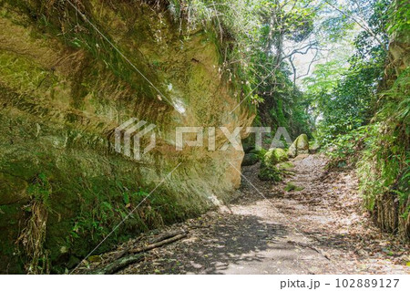 鎌倉市の大仏切り通し 鎌倉市の大仏切り通し 102889127