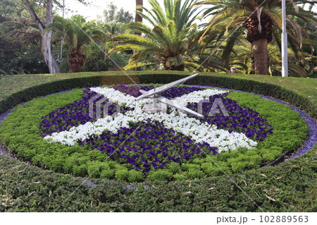 Flower clock in Parque Garcia Sanabria, Santa Cruz de Tenerife, Tenerife Islands, Spain. 102889563