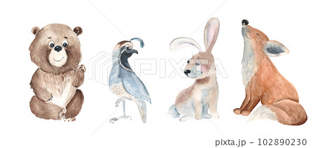 Set of cute woodland animals. Bear, quail, bunny and fox isolated on white background. Watercolor hand drawn illustration. 102890230
