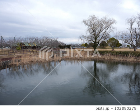 かわち水と緑のふれあい公園散策 かわち水と緑のふれあい公園散策 102890279