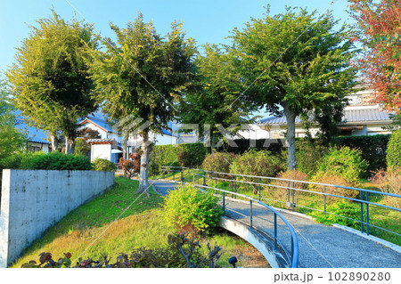 【徳島県】夕暮れ時のうだつの町並み(美馬市脇町南町重要伝統的建造物群保存地区) 【徳島県】夕暮れ時のうだつの町並み(美馬市脇町南町重要伝統的建造物群保存地区) 102890280