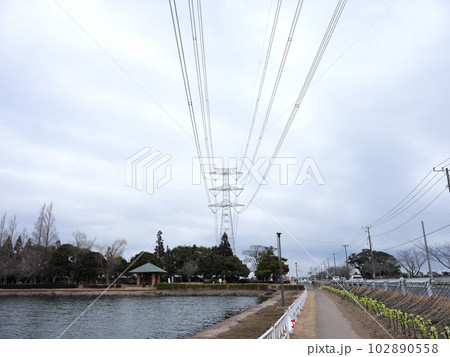 かわち水と緑のふれあい公園散策 かわち水と緑のふれあい公園散策 102890558