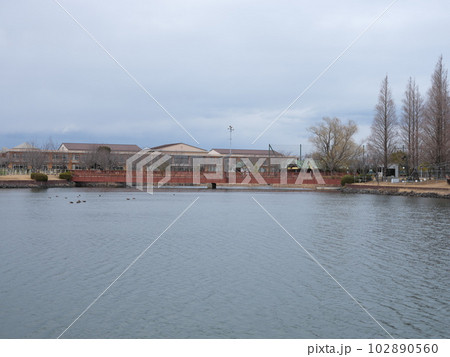 かわち水と緑のふれあい公園散策 かわち水と緑のふれあい公園散策 102890560