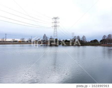 かわち水と緑のふれあい公園散策 かわち水と緑のふれあい公園散策 102890563