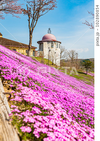 芝ざくら滝上公園の風景 102890854