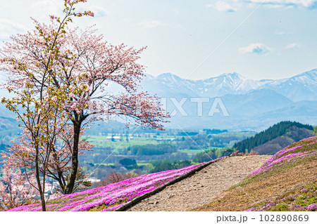 芝ざくら滝上公園の風景 102890869