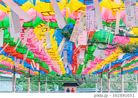 韓国　釜山　海東龍宮寺の風景 102891051