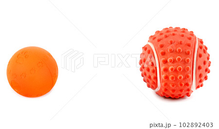 Set of balls, toys for dogs isolated on white . Wide photo. There is space for text. 102892403