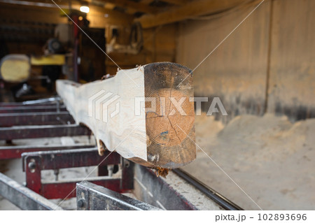 Wood processing on a sawmill. Sawing and drying of wood. Woodworking industry 102893696