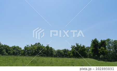 新緑の木々と青空　コピースペース 102893831