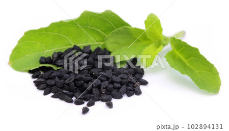Nigella with medicinal tulsi leaves Nigella with medicinal tulsi leaves 102894131