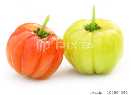 Lagestromia Cherry fruit 102894346