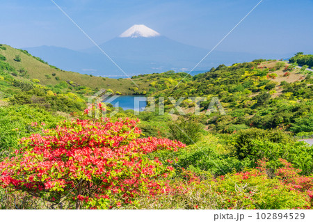 (静岡県)山ツツジ咲く箱根玄岳から富士山の眺め (静岡県)山ツツジ咲く箱根玄岳から富士山の眺め 102894529