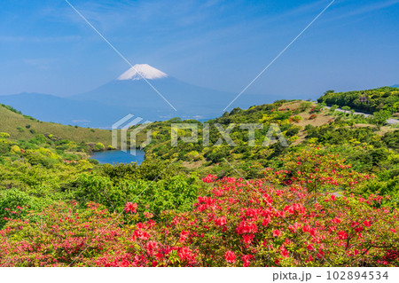 （静岡県）山ツツジ咲く箱根玄岳から富士山の眺め 102894534