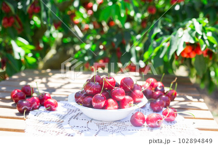 cherries on a wooden table cherries on a wooden table 102894849