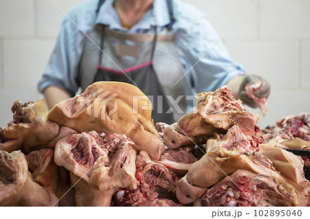 Slaughterhouse. Sliced pork heads on a butcher's background. Pork meat processing 102895040