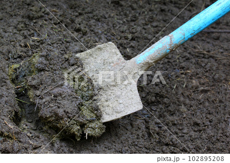 Manure with spade Manure with spade 102895208