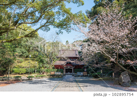 多久聖廟 102895754