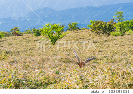 (静岡県)西伊豆スカイライン、達磨山高原南側の景色 (静岡県)西伊豆スカイライン、達磨山高原南側の景色 102895851