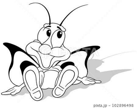 Drawing of a Sitting Butterfly Drawing of a Sitting Butterfly 102896498