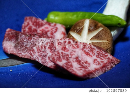 美味しいステーキ用国産和牛の霜降り肉 美味しいステーキ用国産和牛の霜降り肉 102897089