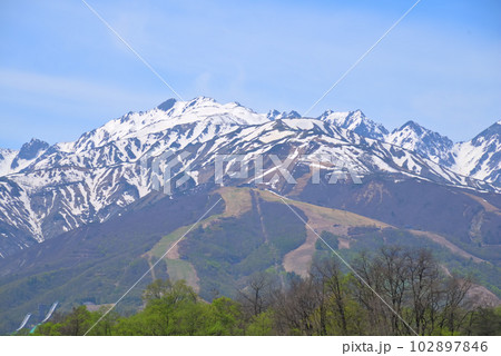 《長野県》春の白馬村 残雪の唐松岳と新緑の山麓 《長野県》春の白馬村 残雪の唐松岳と新緑の山麓 102897846